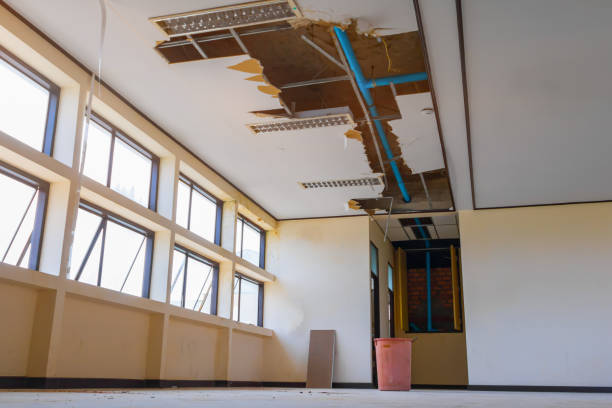 Best Fire Damage Restoration  in Tuckahoe, VA