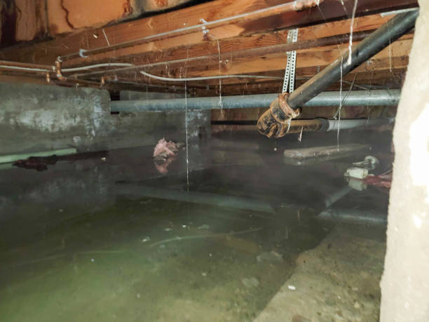 Best Sewage cleanup and water damage restoration  in Tuckahoe, VA