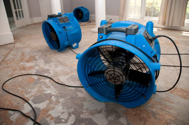 Best Residential water damage restoration  in Tuckahoe, VA