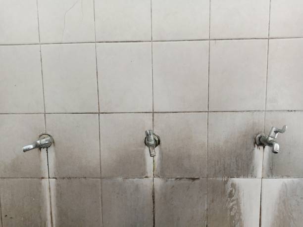 Best Water damage restoration near me  in Tuckahoe, VA