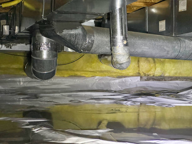 Best Flood restoration services  in Tuckahoe, VA