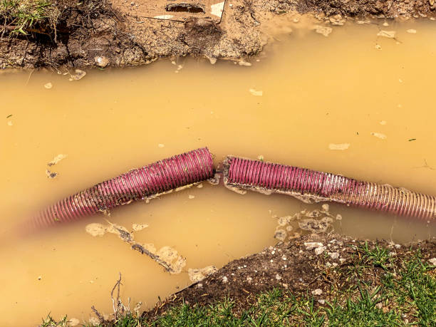 Best Commercial water damage restoration  in Tuckahoe, VA